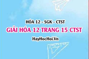 Giải Hóa 12 trang 15 Chân trời sáng tạo SGK